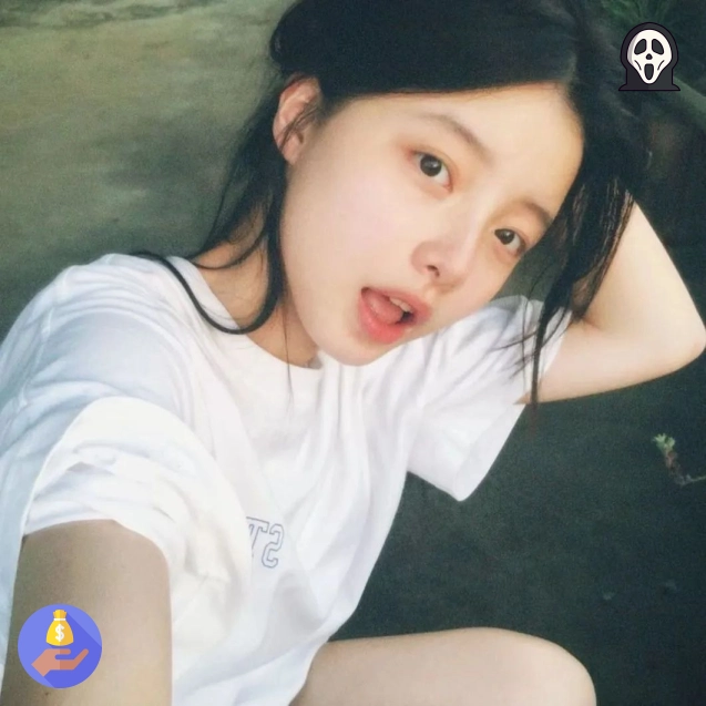 北纬用户